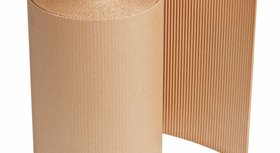 Lepenky v roli